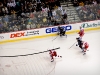 preds_redwings-007