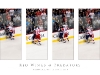 preds_redwings-020