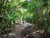 coco_cay-027